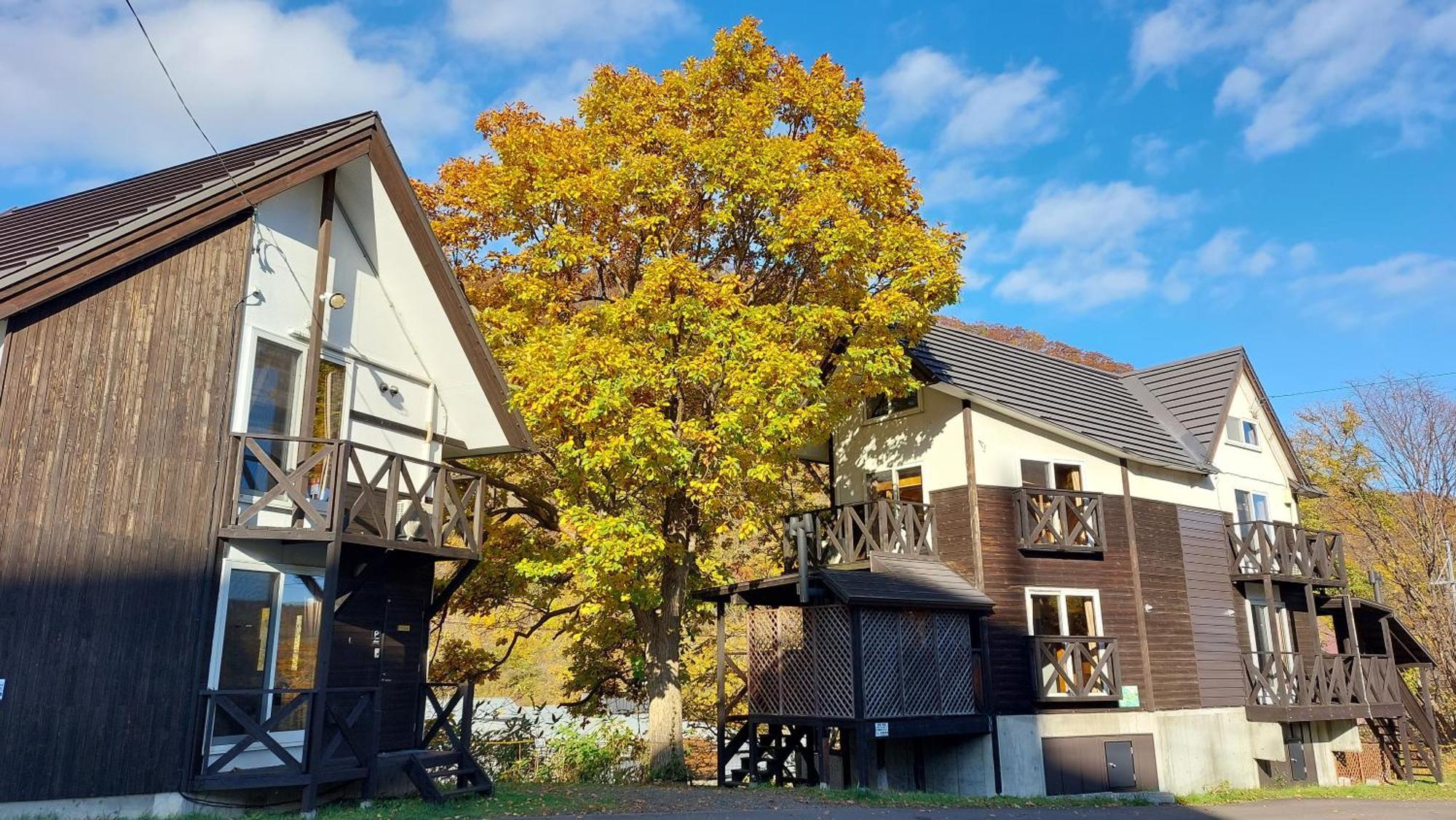 温克尔山林小屋